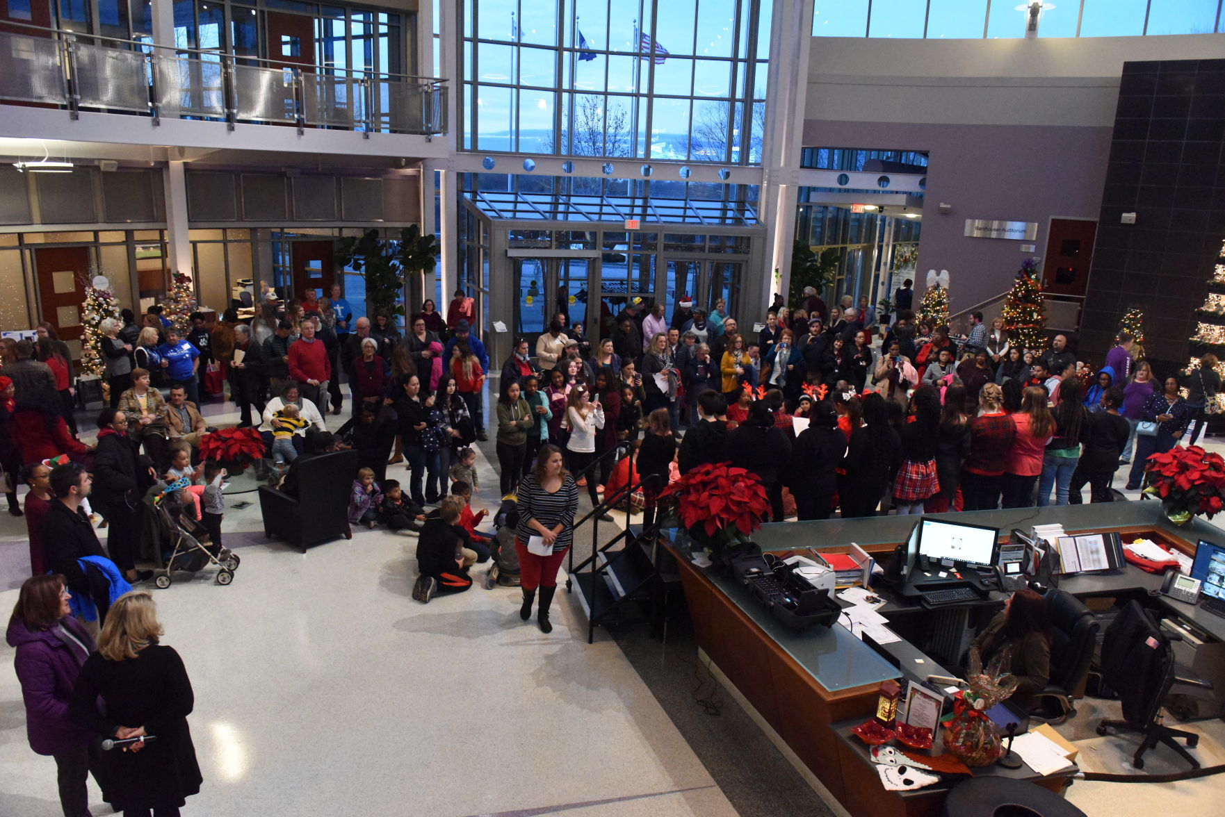 Decorating the Trees for a Cause